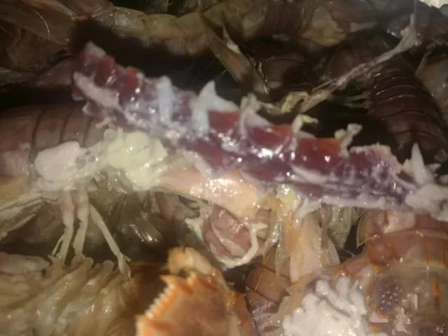 烟台人吃海鲜最好的时节到了！个个肥美，鲜，价低！