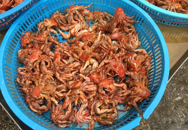 烟台人吃海鲜最好的时节到了！个个肥美，鲜，价低！