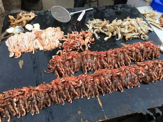 烟台人吃海鲜最好的时节到了！个个肥美，鲜，价低！