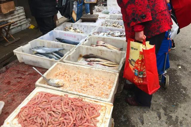 烟台人吃海鲜最好的时节到了！个个肥美，鲜，价低！