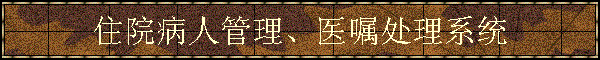 סԺ˹ҽϵͳ