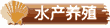 scyz1.gif (972 bytes)